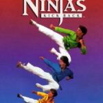 3 Ninjas Kick Back