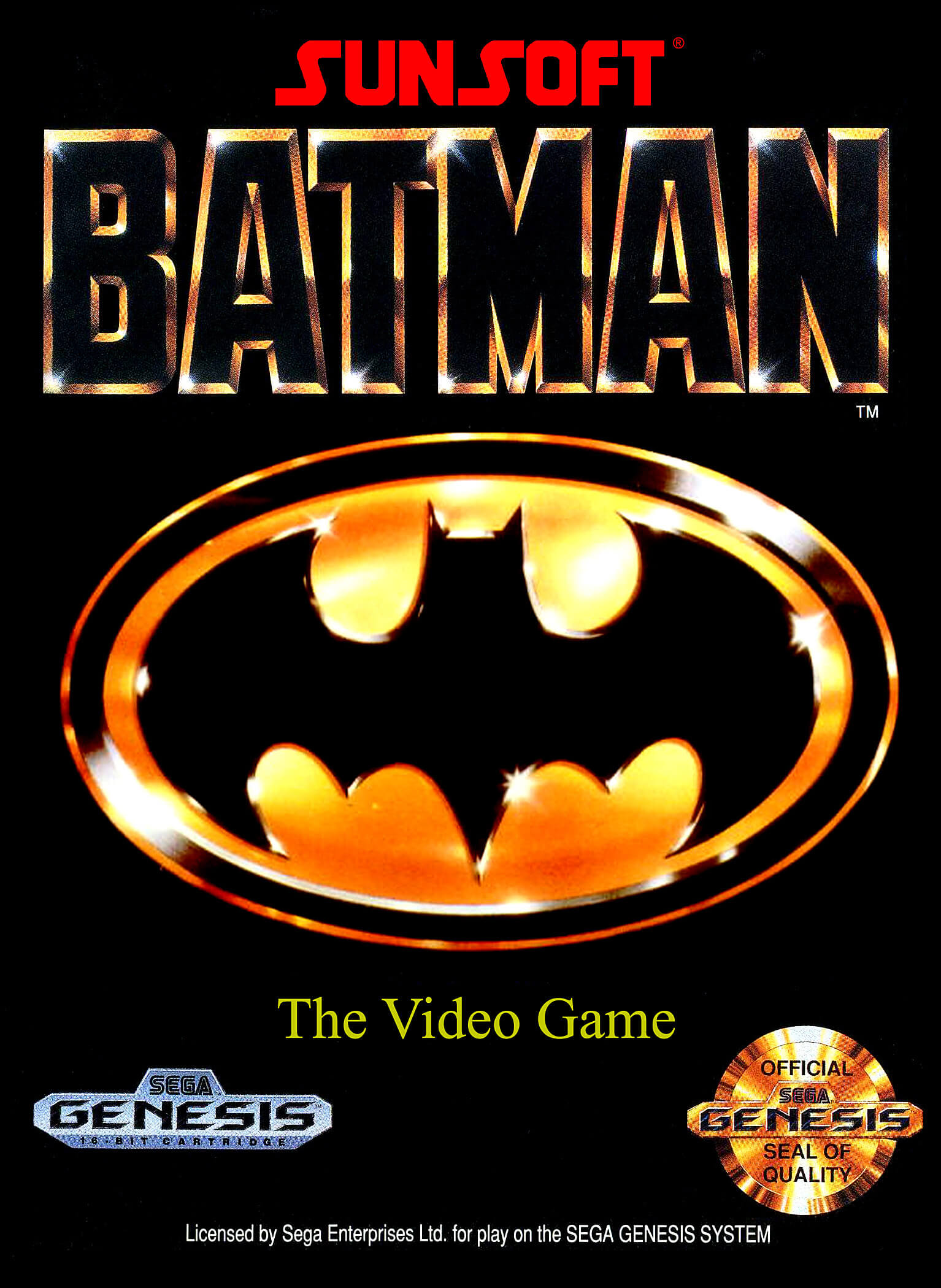 Batman: The Video Game